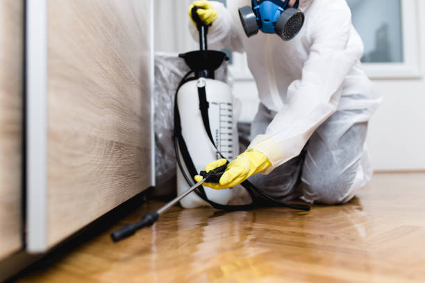 Best Rat Extermination Near Me  in Wliamsvle, IL