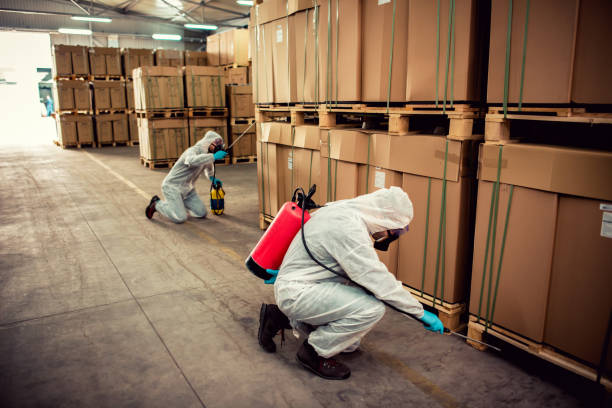 Best Wasp Removal Services  in Wliamsvle, IL