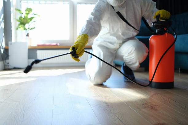 Best Residential Pest Control  in Wliamsvle, IL