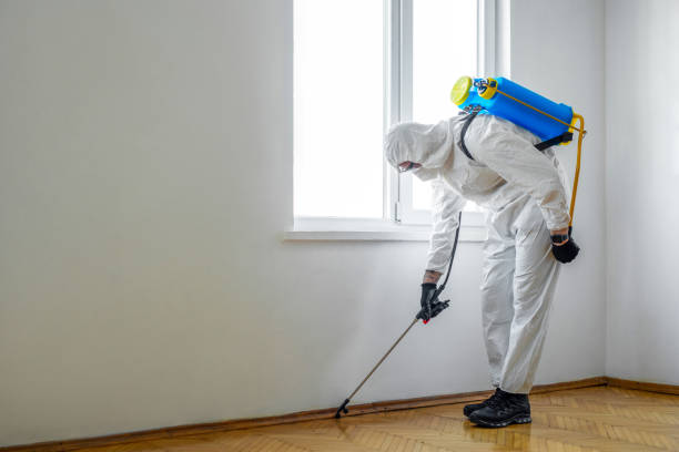 Professional Pest Control in Williamsville, IL