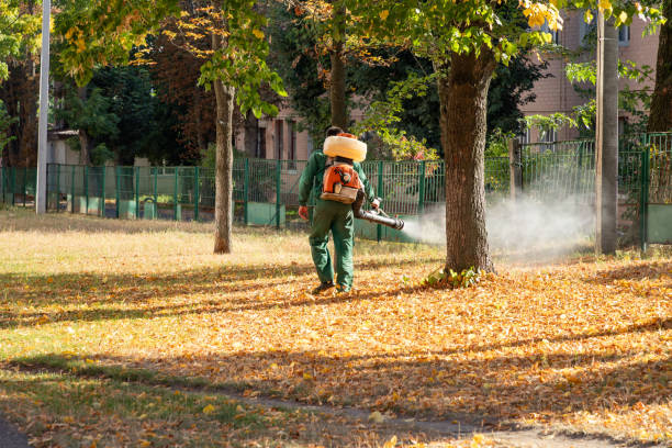 Best Pest Prevention Services  in Wliamsvle, IL