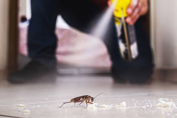 Best Wildlife Control Services  in Wliamsvle, IL