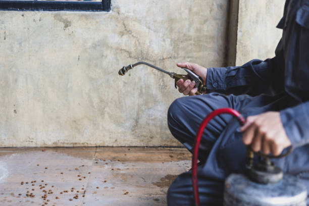 Best Pest Control Cost  in Wliamsvle, IL