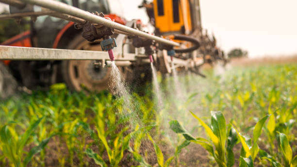Best Insect Control  in Wliamsvle, IL